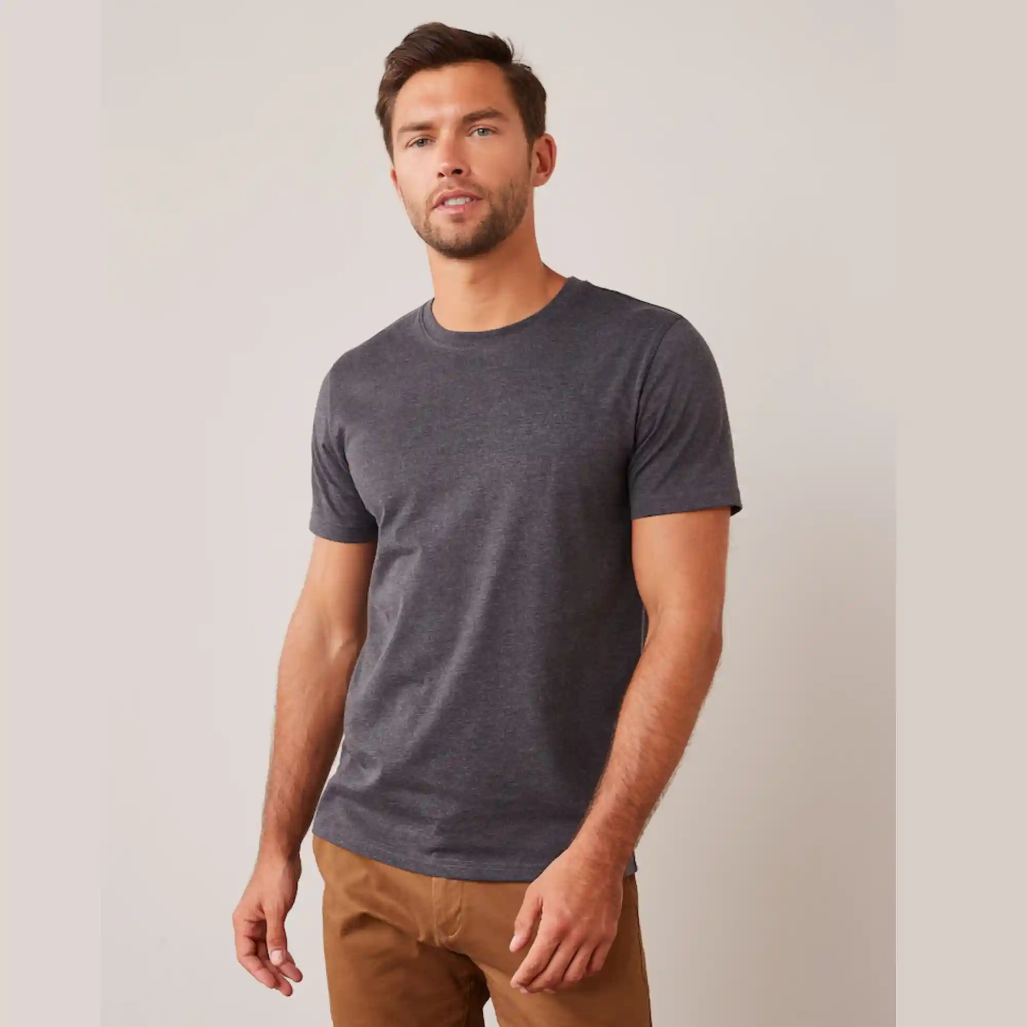 Grey model2 (1)